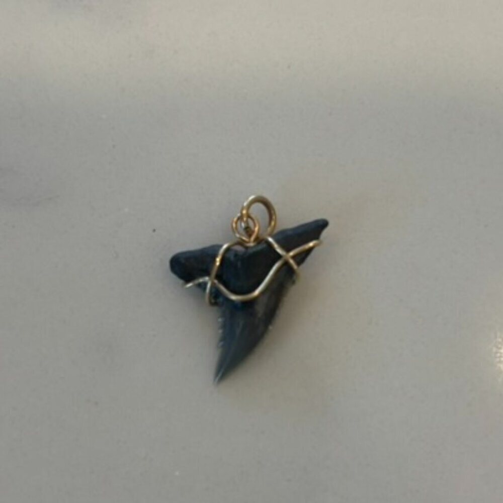 Shark Tooth Pendent